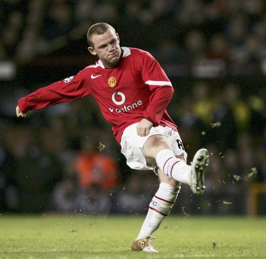 在适应新的 在适应新的